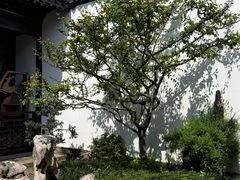 -程十发艺术馆