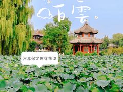 -莲池书院博物馆