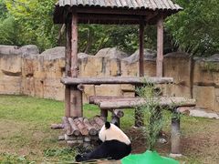 -上海野生动物园