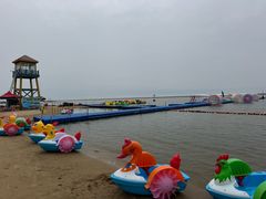 -碧海金沙