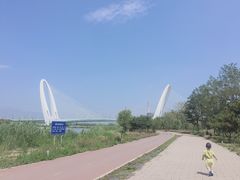 -永定河休闲森林公园