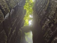 -梦幻奥陶纪景区