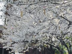 -堤角公园