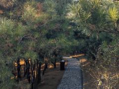 -香山公园