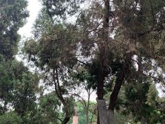 -房湖公园