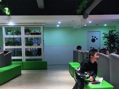 -学知乐教育·幼小衔接·小学科辅导(嘉定镇校区)