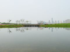 -洋湖国家湿地公园