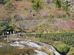 -刘伯温故里景区百丈漈