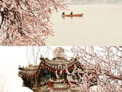 -颐和园