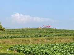 -光明小镇欢乐田园