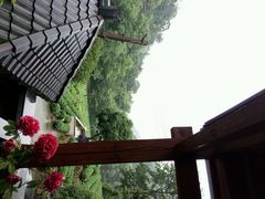 android_upload_pic-龙井村