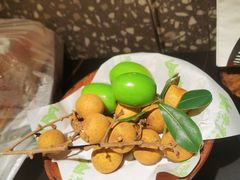 -季季山·云南野生菌火锅(上海首店)