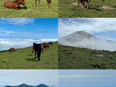 -灵山