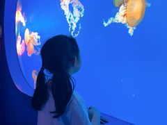 -太平洋海底世界