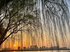-金银湖国家城市湿地公园
