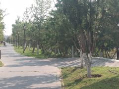 -西海子公园