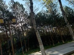 -长春世界雕塑园冰雪艺术天地