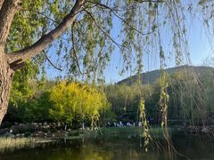 -大连植物园