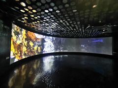 -同济大学四平路校区深海探索馆