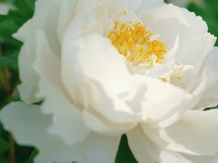 -洛阳市隋唐城遗址植物园