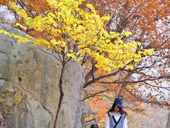 -崂山巨峰游览区