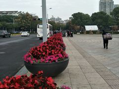 -中央公园(苏州工业园区)