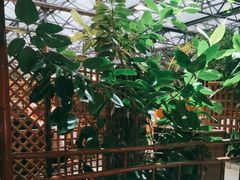 -金稼园·金平湖农家菜