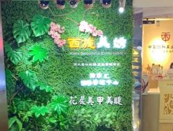-西施无菌半永久纹绣眉眼影唇轻增发纹发际线