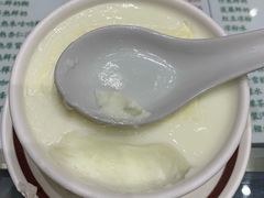 双皮奶-义顺牛奶公司(新马路老店)
