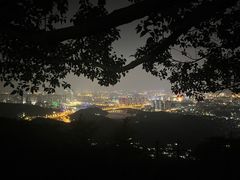 -阿捡忭京炸鸡(韭菜园总店)