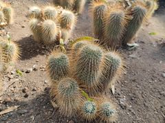 -北京植物园-展览温室