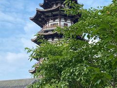 -洋湖国家湿地公园