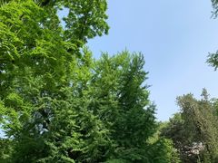 -北京市劳动人民文化宫(太庙)