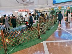 -保利MALL(天鹅湖店)