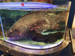 -盒马X会员店(上海森兰商都店)
