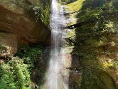 -中国大熊猫保护研究中心雅安碧峰峡基地