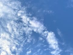-澳门威尼斯人综合度假区