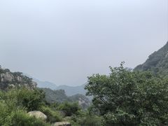 -大岭沟猕猴桃谷风景区