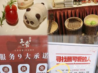 今天和家人去了毛家饭店，一进门就感觉特别亲切