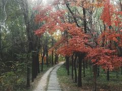 -长春市南湖公园