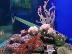 -蓬莱欧乐堡海洋极地世界