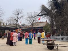 -大槐树寻根祭祖园
