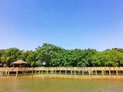 -大湾区中央湿地公园