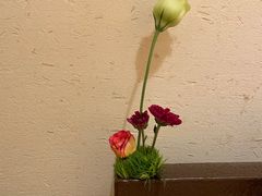 -庆春朴门