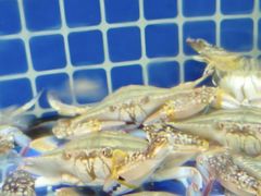 -碧海银沙海鲜餐厅(恒大海上威尼斯店)