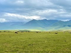 -新疆那拉提国家旅游度假区