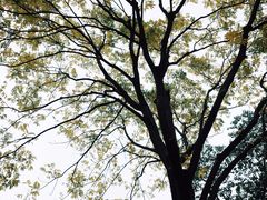 -杭州城北体育公园