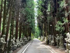 -武陵山森林公园