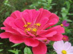 android_upload_pic-桤木河湿地公园