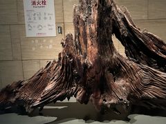 -金沙遗址博物馆